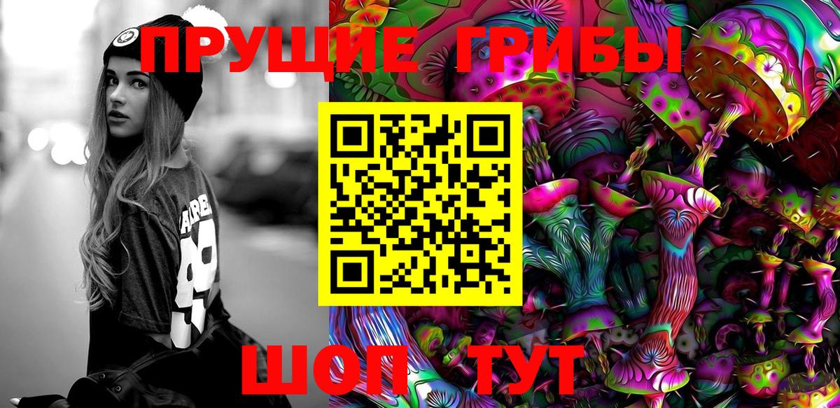 Псилоцибиновые грибы Cubensis Горячий Ключ